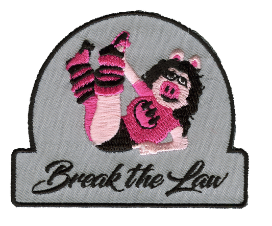 BREAK THE LAW